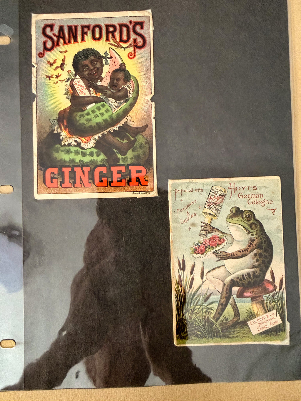 Rare 1880s Victorian Trade Card Album - Merchant’s Gargling Oil BASEBALL Set - Black Americana - Patent Medicine - Peacock Cover