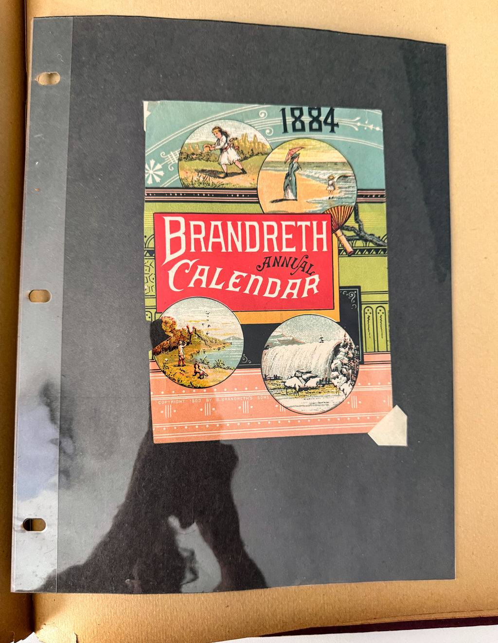 Rare 1880s Victorian Trade Card Album - Merchant’s Gargling Oil BASEBALL Set - Black Americana - Patent Medicine - Peacock Cover