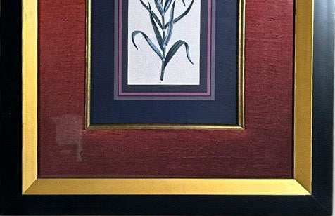 Vintage Framed Stylized Red Lily Botanical Lithograph Prints Pair