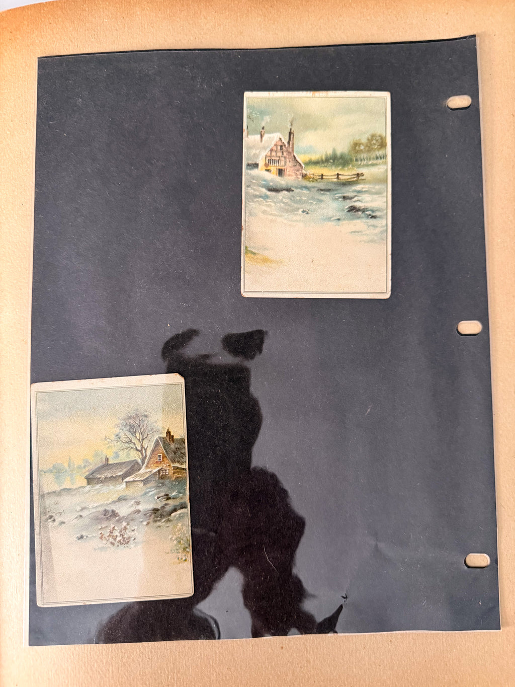 Rare 1880s Victorian Trade Card Album - Merchant’s Gargling Oil BASEBALL Set - Black Americana - Patent Medicine - Peacock Cover