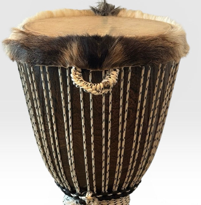 Professional West African Djembe Hand Carved Baobab Tree Drum With Case