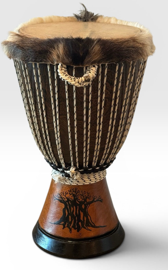 Professional West African Djembe Hand Carved Baobab Tree Drum With Case