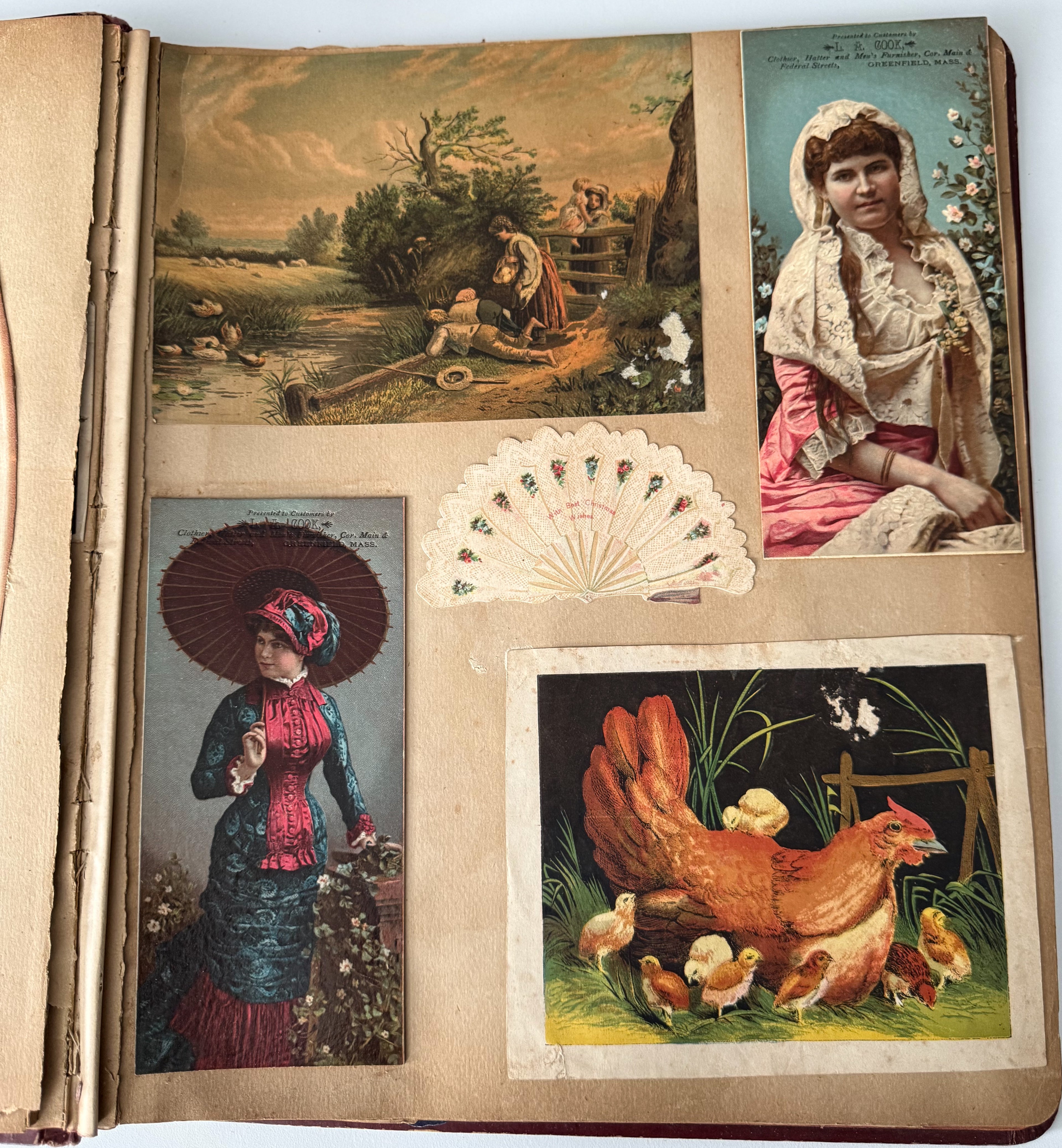 Rare 1880s Victorian Trade Card Album - Merchant’s Gargling Oil BASEBALL Set - Black Americana - Patent Medicine - Peacock Cover
