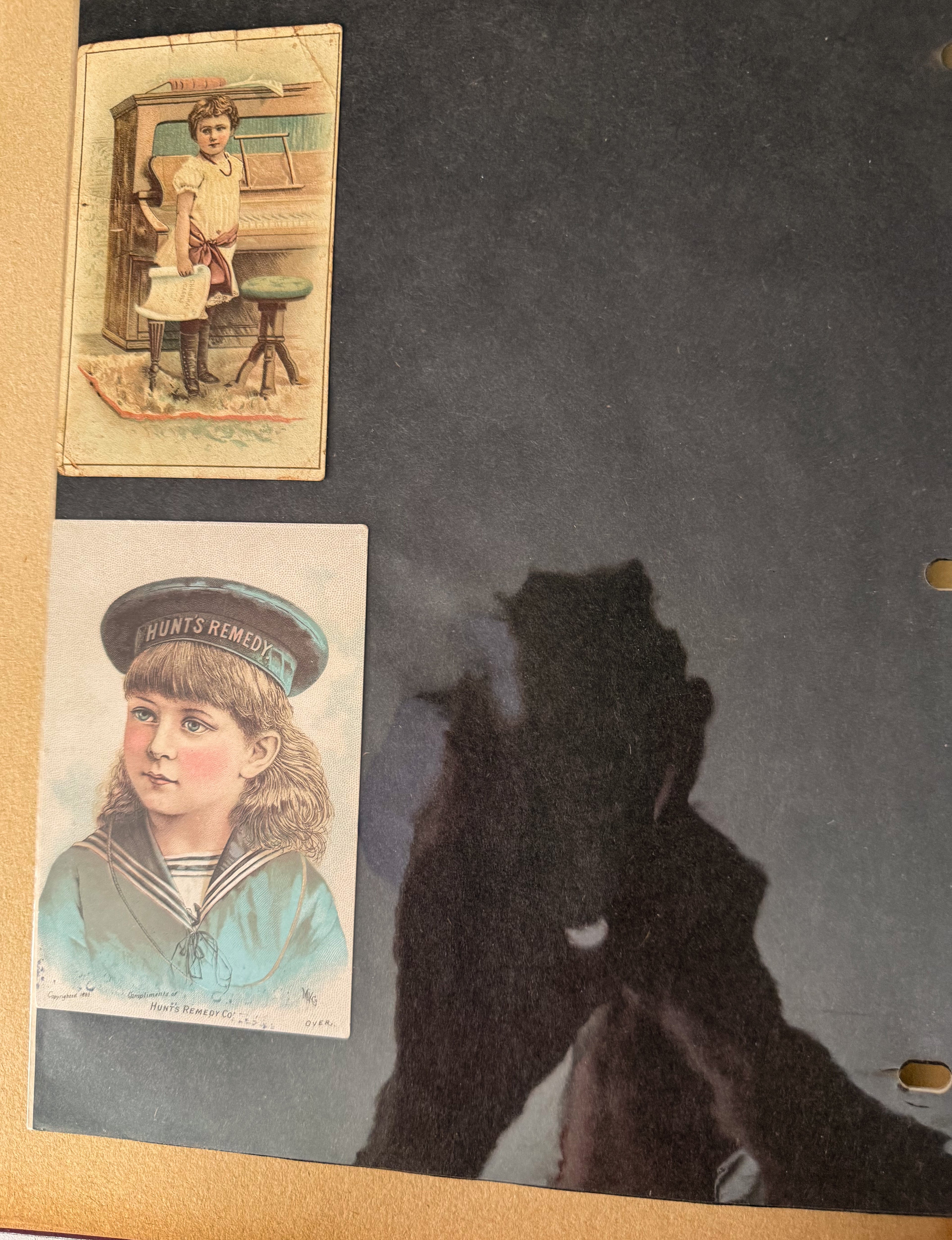 Rare 1880s Victorian Trade Card Album - Merchant’s Gargling Oil BASEBALL Set - Black Americana - Patent Medicine - Peacock Cover