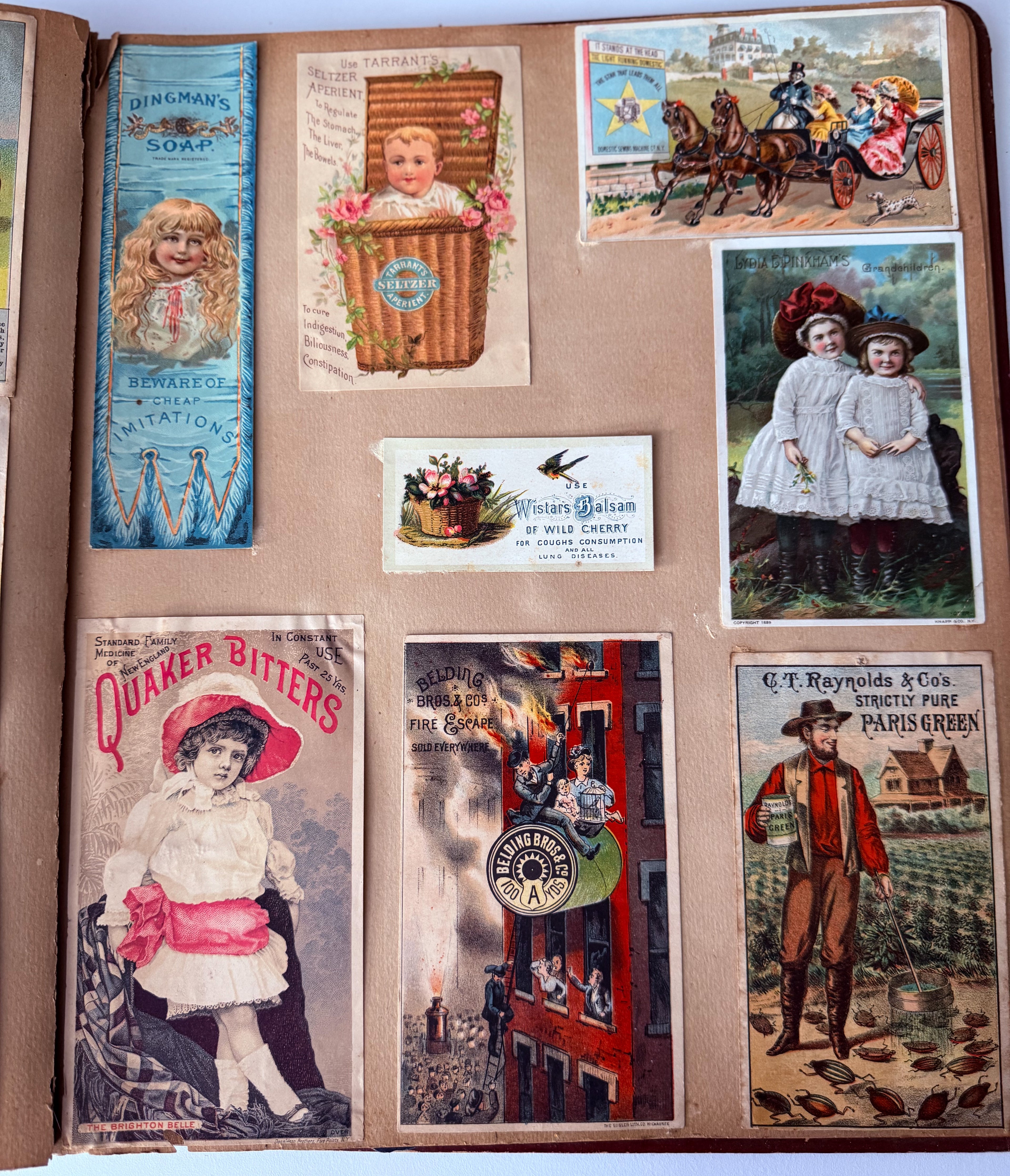 Rare 1880s Victorian Trade Card Album - Merchant’s Gargling Oil BASEBALL Set - Black Americana - Patent Medicine - Peacock Cover