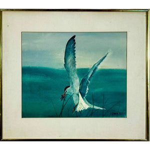 Original 1987 Coastal Watercolor "The Catch" Common Tern Bird Study - Signed C. G. Hurth