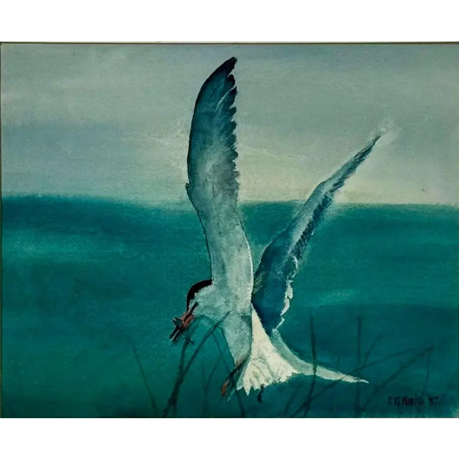 Original 1987 Coastal Watercolor "The Catch" Common Tern Bird Study - Signed C. G. Hurth