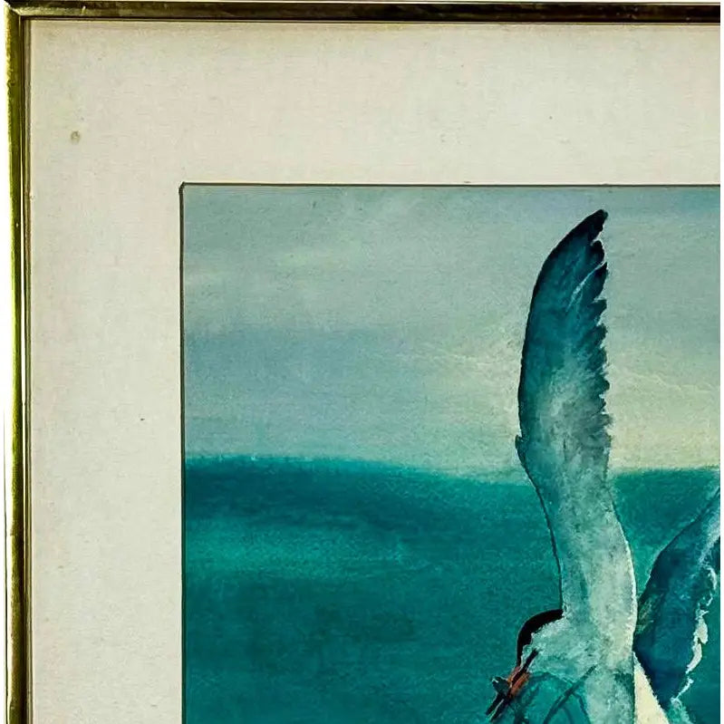 Original 1987 Coastal Watercolor "The Catch" Common Tern Bird Study - Signed C. G. Hurth