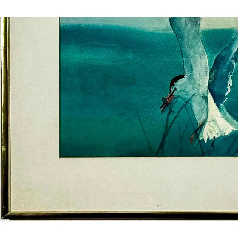 Original 1987 Coastal Watercolor "The Catch" Common Tern Bird Study - Signed C. G. Hurth