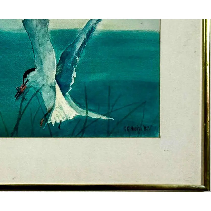 Original 1987 Coastal Watercolor "The Catch" Common Tern Bird Study - Signed C. G. Hurth