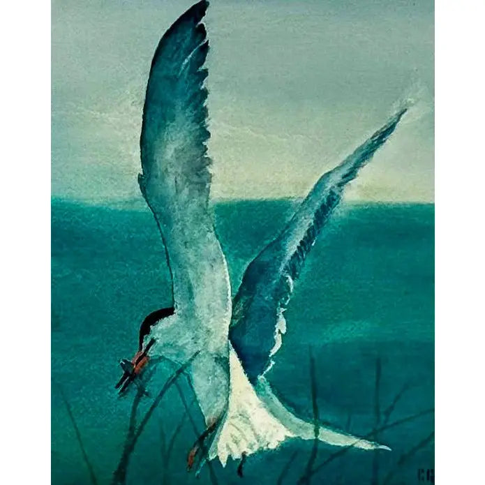 Original 1987 Coastal Watercolor "The Catch" Common Tern Bird Study - Signed C. G. Hurth