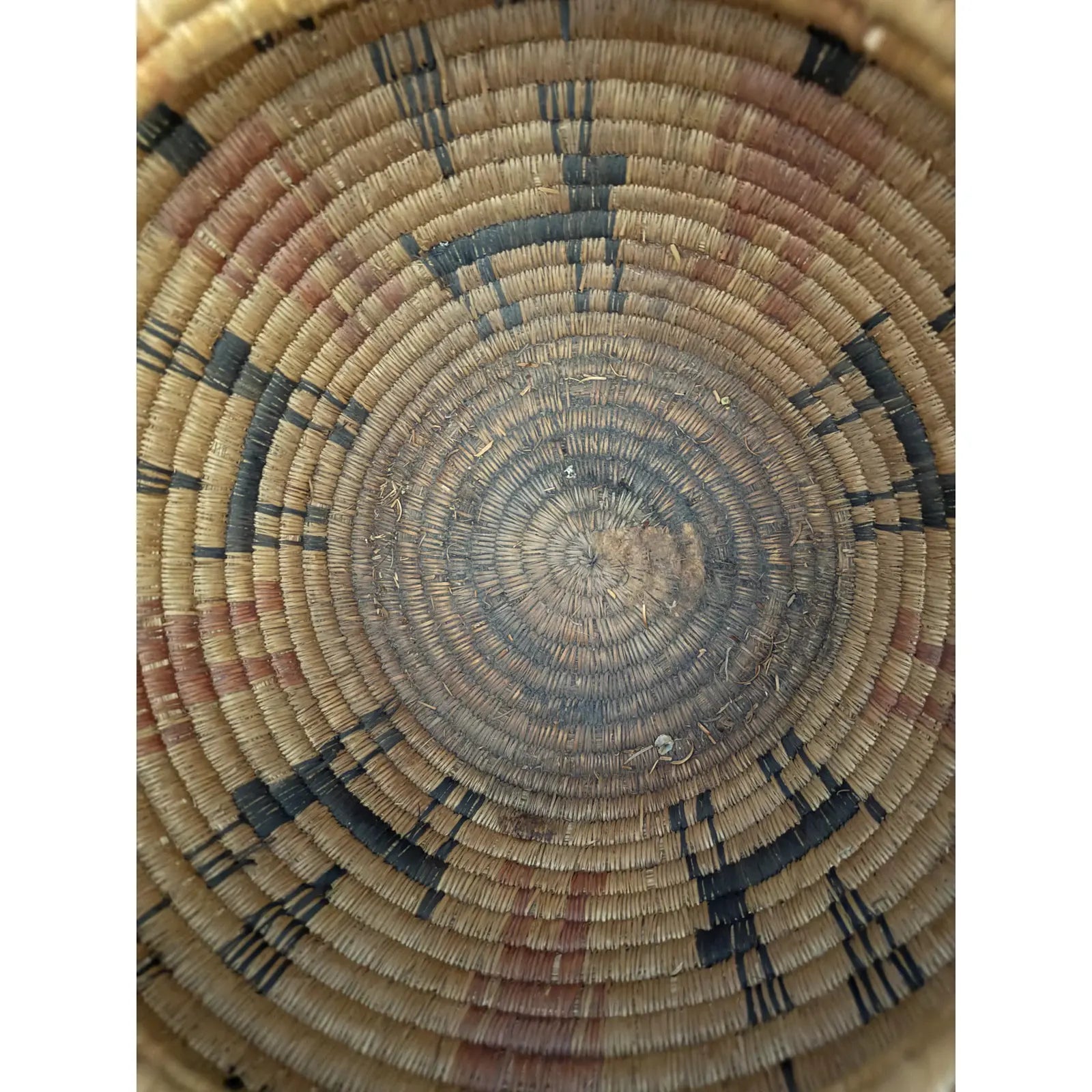 Monumental 17” Polychrome Pima Akimel Oodham in the Style of Native American Olla Basket Rare Dual Register Human and Deer Motif Willow Devils Claw & Yucca Root