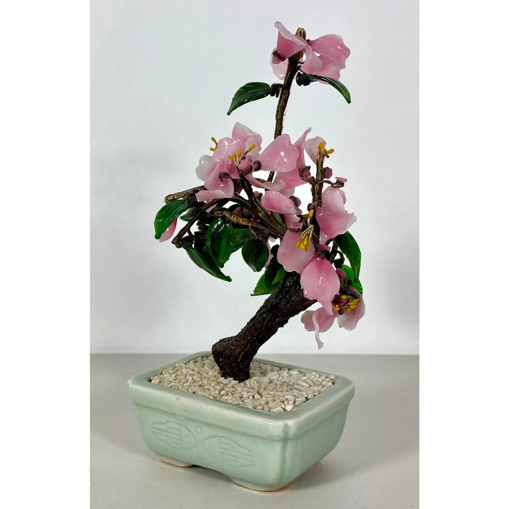 Vintage Mid-Century Flowering "Jade Tree" in Footed Celadon Pot - 10"