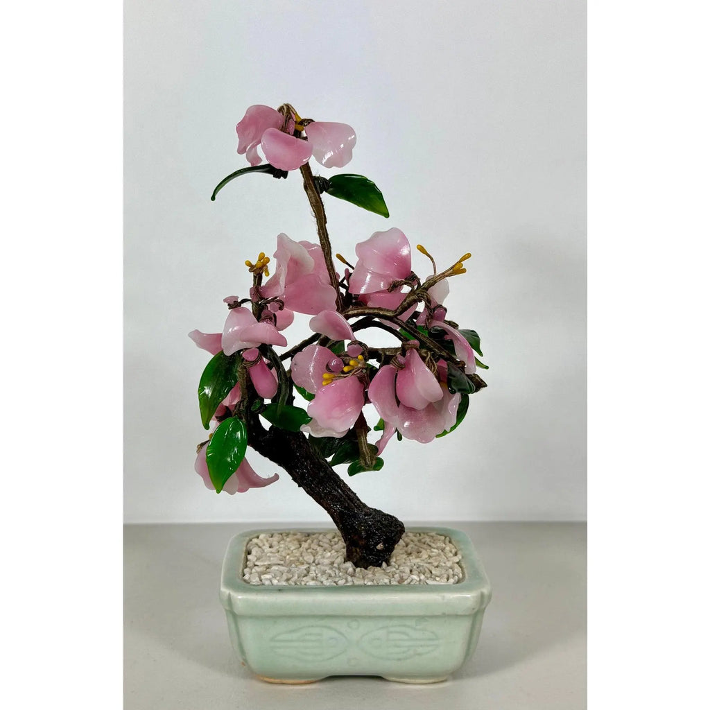 Vintage Mid-Century Flowering "Jade Tree" in Footed Celadon Pot - 10"