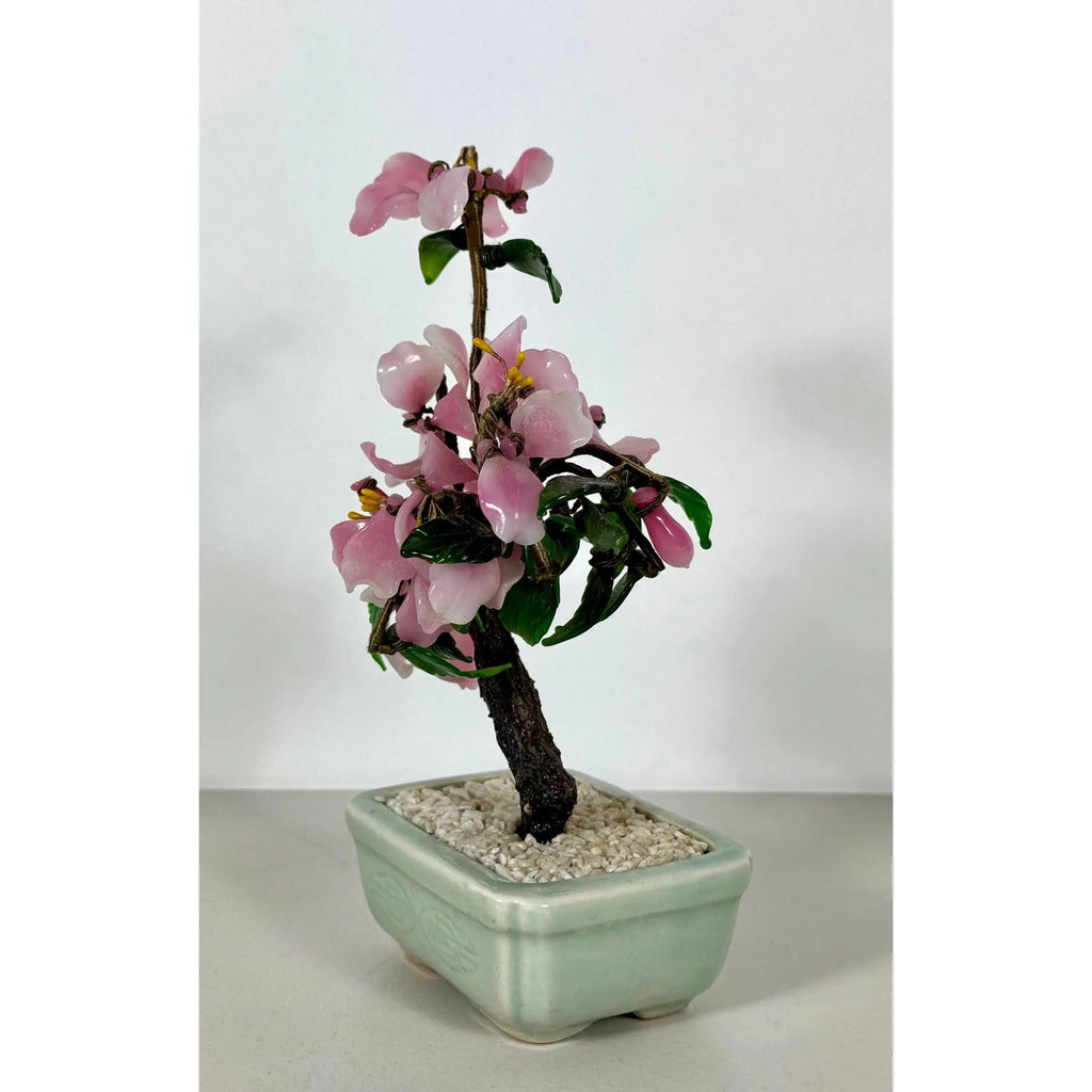Vintage Mid-Century Flowering "Jade Tree" in Footed Celadon Pot - 10"