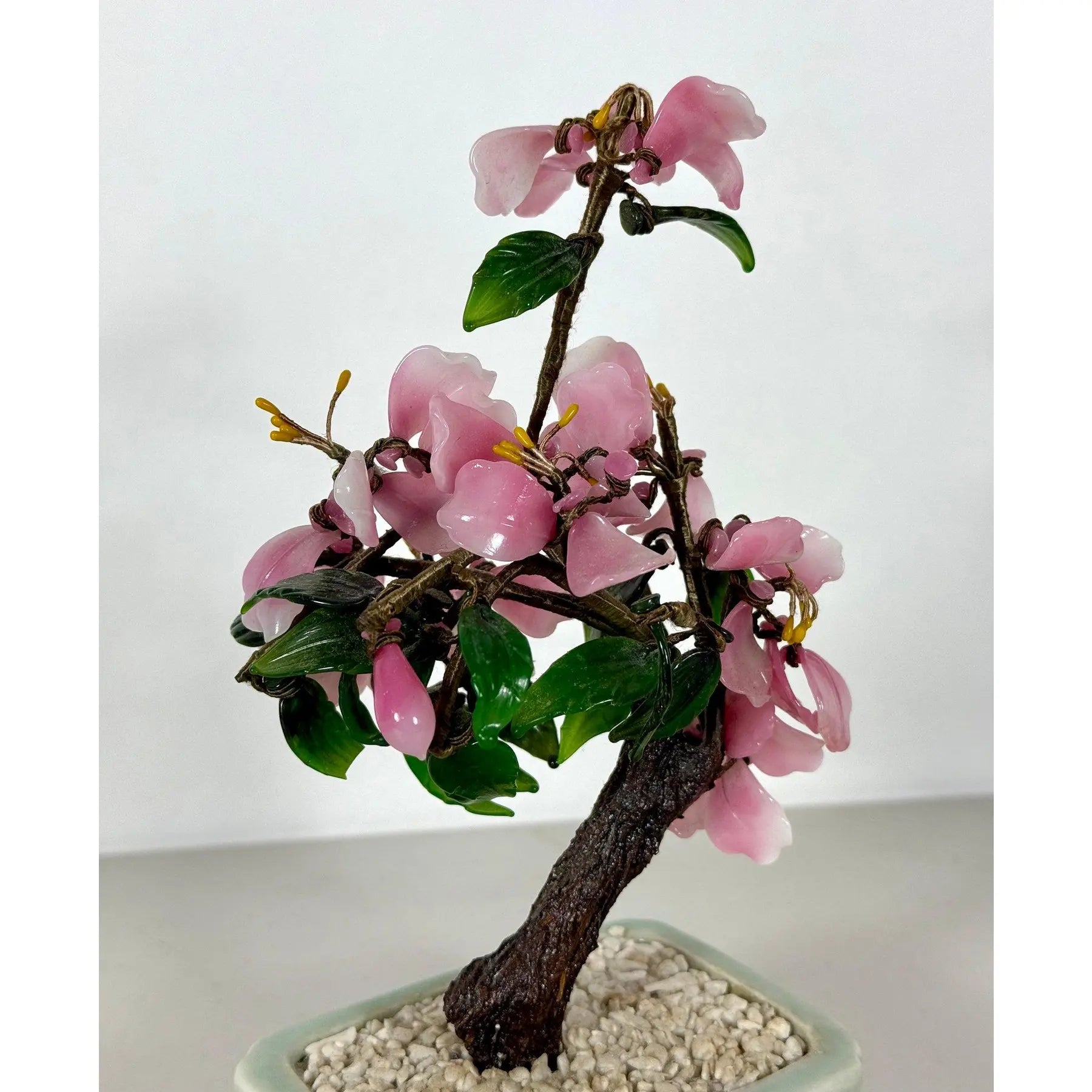 Vintage Mid-Century Flowering "Jade Tree" in Footed Celadon Pot - 10"
