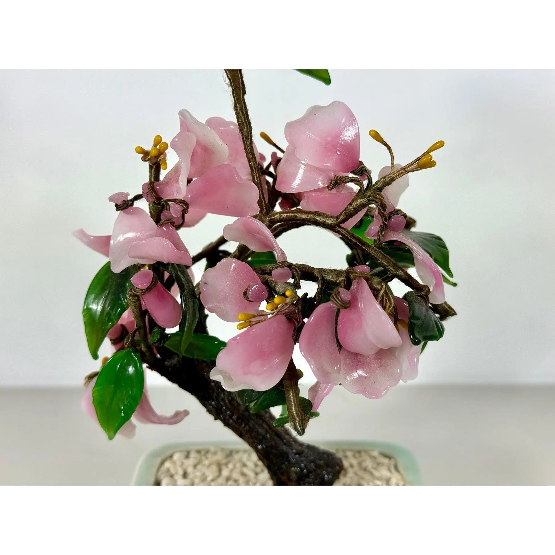 Vintage Mid-Century Flowering "Jade Tree" in Footed Celadon Pot - 10"