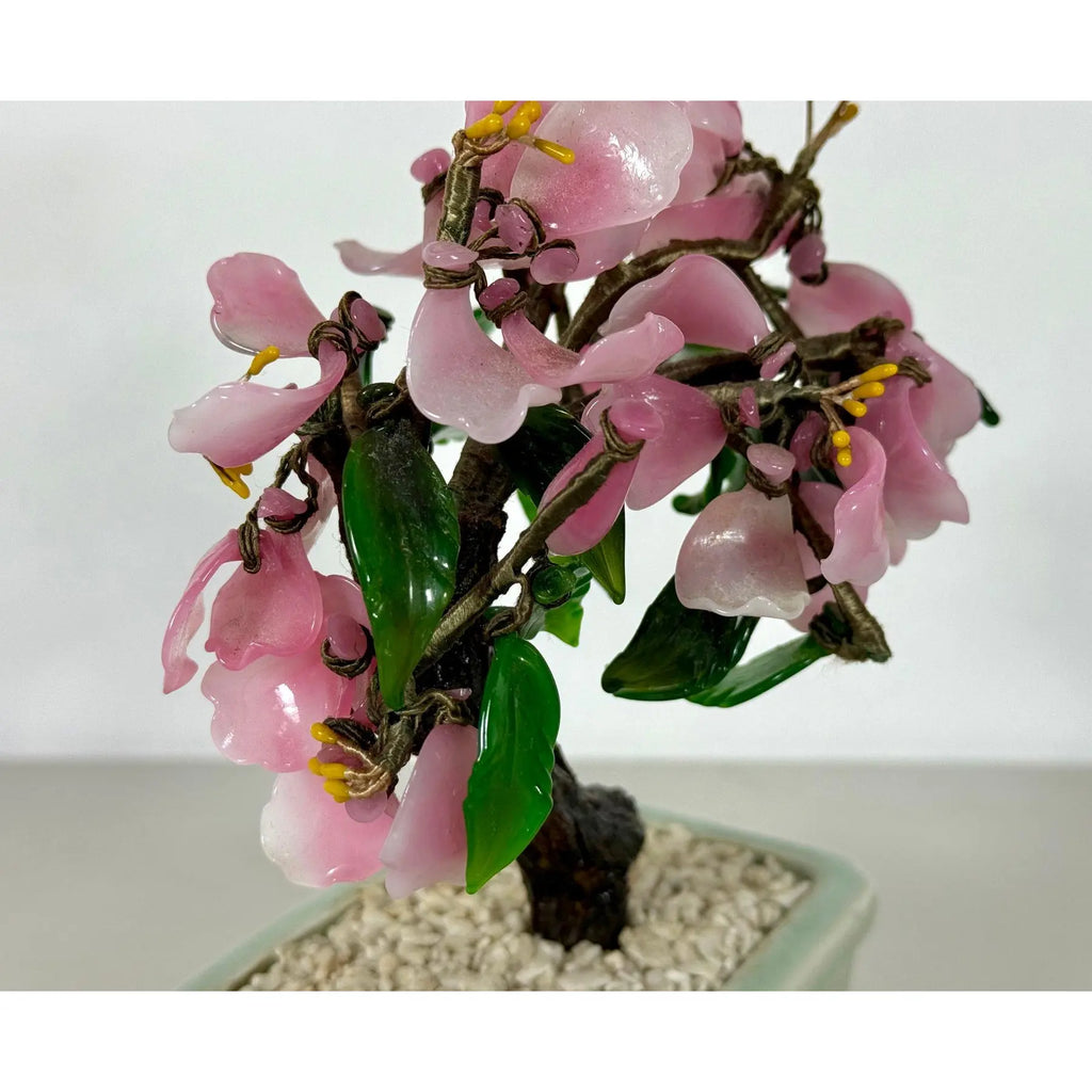 Vintage Mid-Century Flowering "Jade Tree" in Footed Celadon Pot - 10"