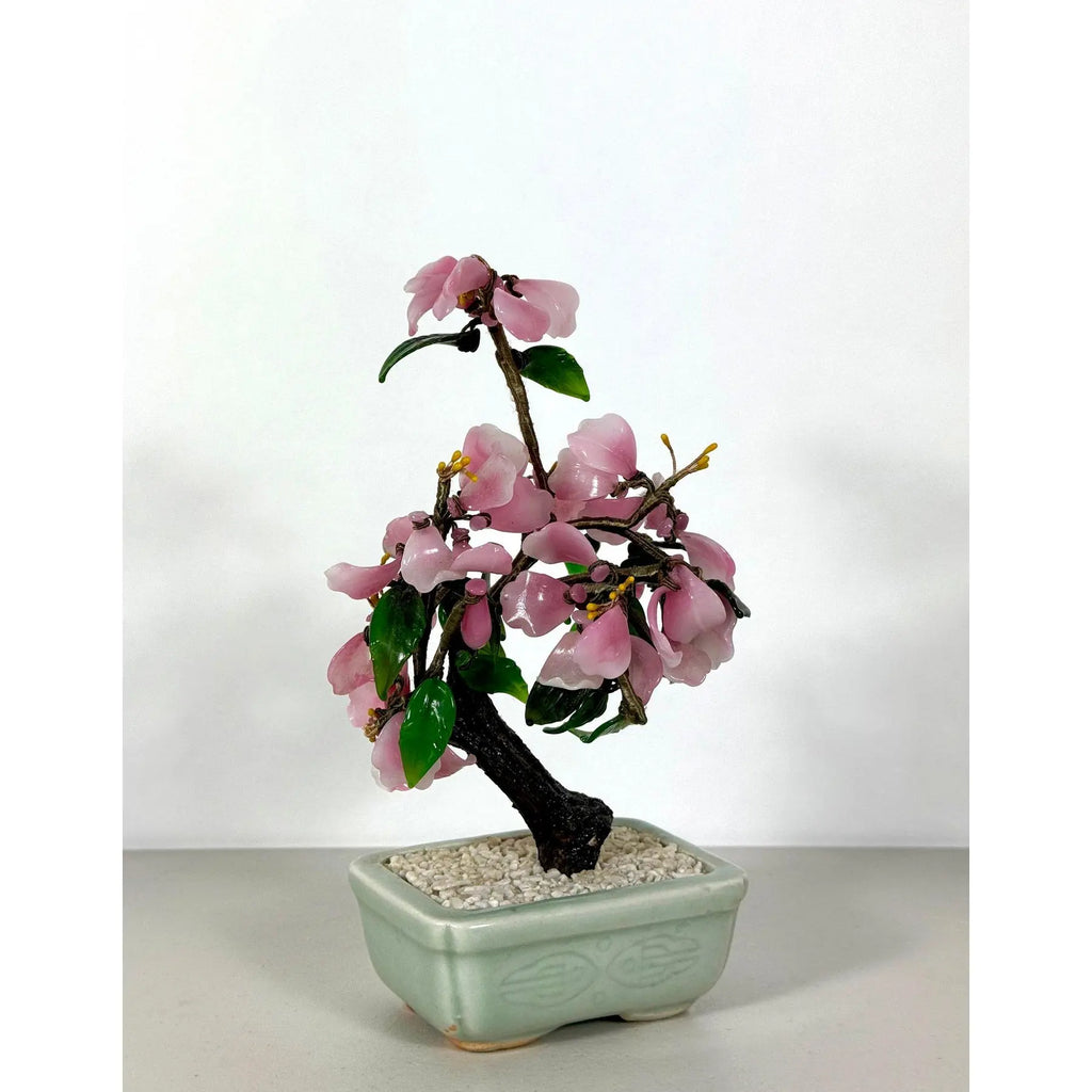 Vintage Mid-Century Flowering "Jade Tree" in Footed Celadon Pot - 10"