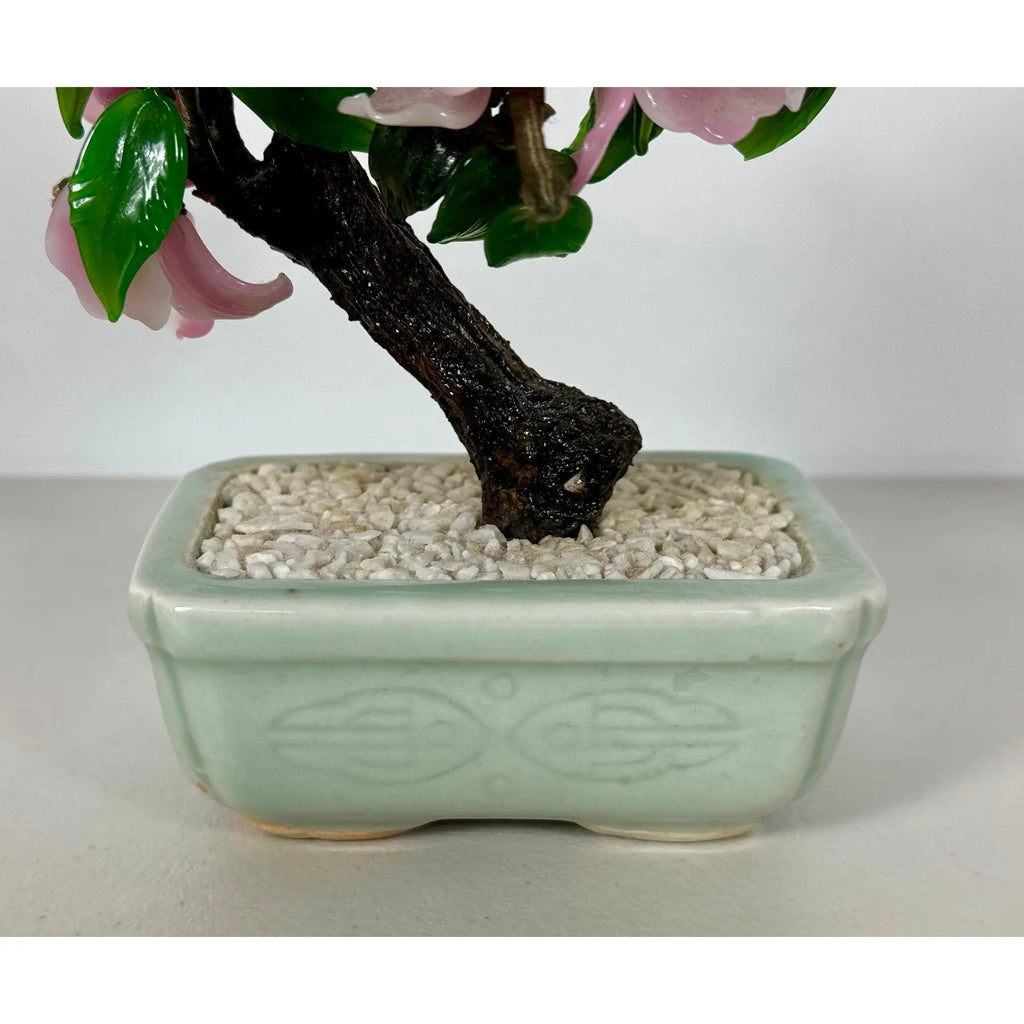 Vintage Mid-Century Flowering "Jade Tree" in Footed Celadon Pot - 10"