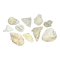 Collection of 10 Museum Cataloged Connecticut River Valley Quartz Artifacts Indigenous Lithic Tools