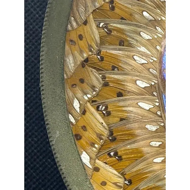 Museum-Quality Antique Brazilian Morpho Butterfly Wing Art Plate