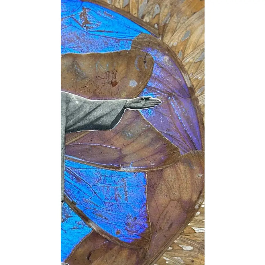 Museum-Quality Antique Brazilian Morpho Butterfly Wing Art Plate