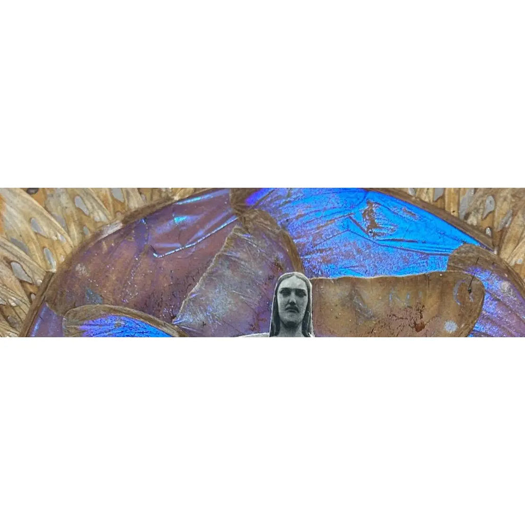 Museum-Quality Antique Brazilian Morpho Butterfly Wing Art Plate