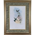 Antique Nineteenth Century John Gould Hummingbird Framed Fine Art Hand Colored Lithograph