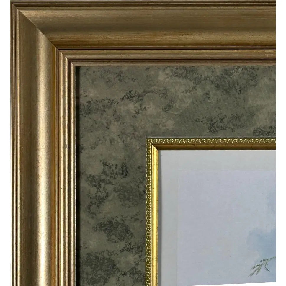 Antique Nineteenth Century John Gould Hummingbird Framed Fine Art Hand Colored Lithograph