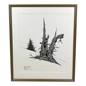 1980s Steve LeBailly Signed Pen &amp; Ink Drawing "Burma Road Juniper" Mackay, Idaho