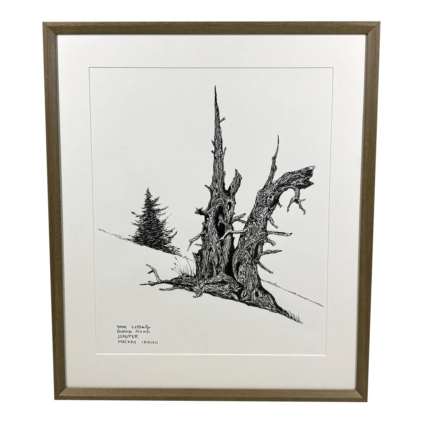 1980s Steve LeBailly Signed Pen &amp; Ink Drawing "Burma Road Juniper" Mackay, Idaho