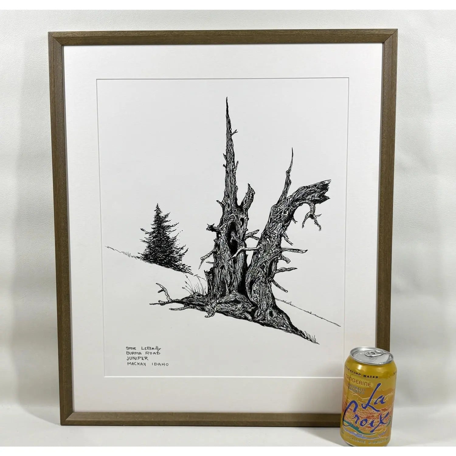1980s Steve LeBailly Signed Pen &amp; Ink Drawing "Burma Road Juniper" Mackay, Idaho