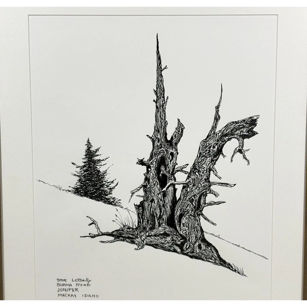 1980s Steve LeBailly Signed Pen &amp; Ink Drawing "Burma Road Juniper" Mackay, Idaho