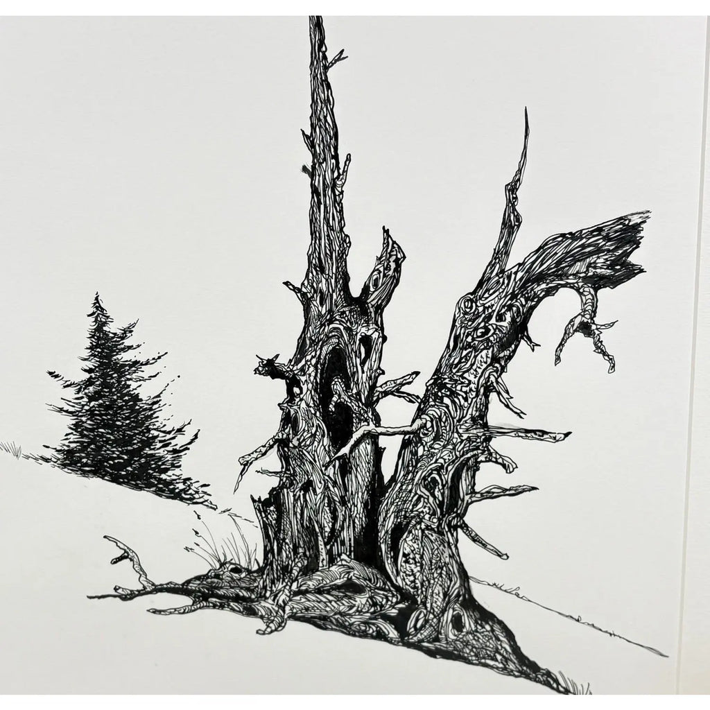 1980s Steve LeBailly Signed Pen &amp; Ink Drawing "Burma Road Juniper" Mackay, Idaho