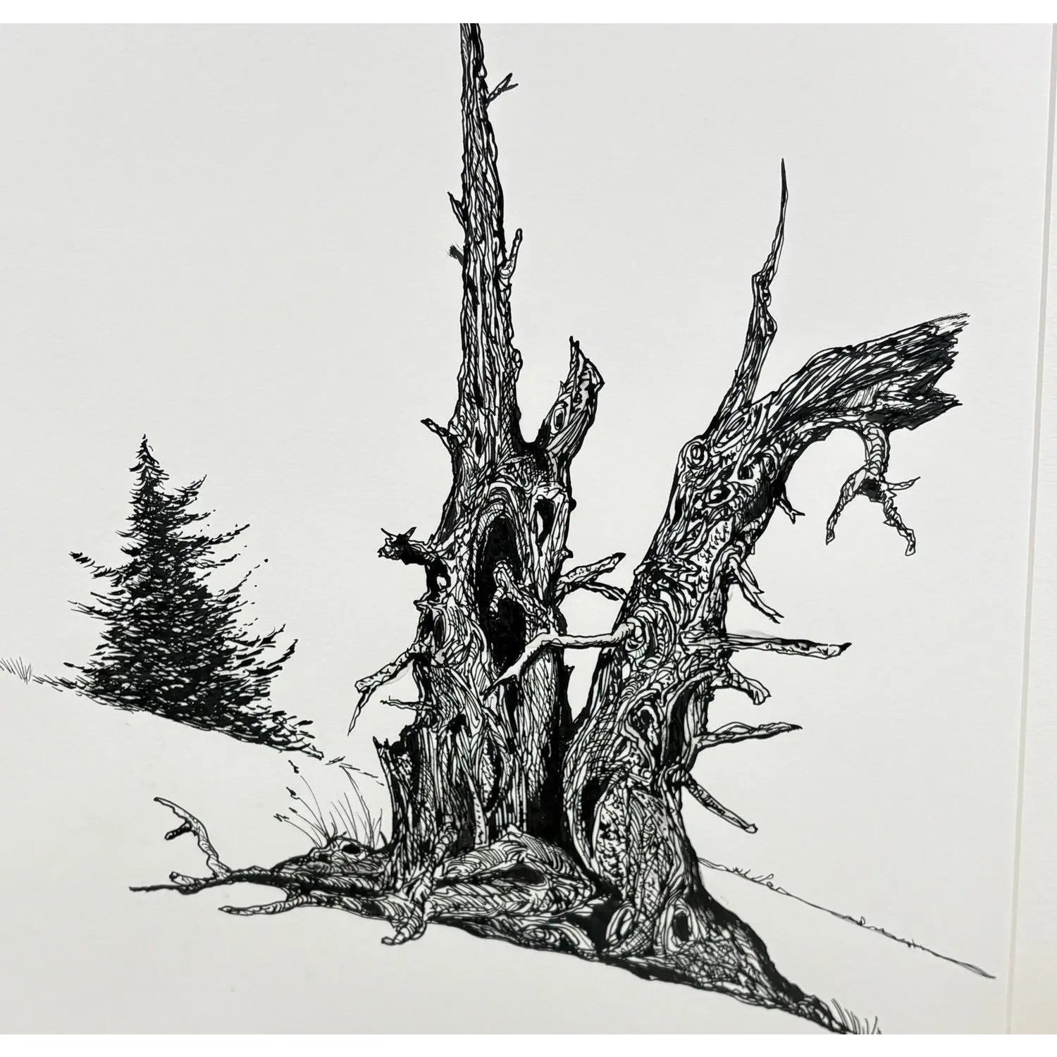 1980s Steve LeBailly Signed Pen &amp; Ink Drawing "Burma Road Juniper" Mackay, Idaho