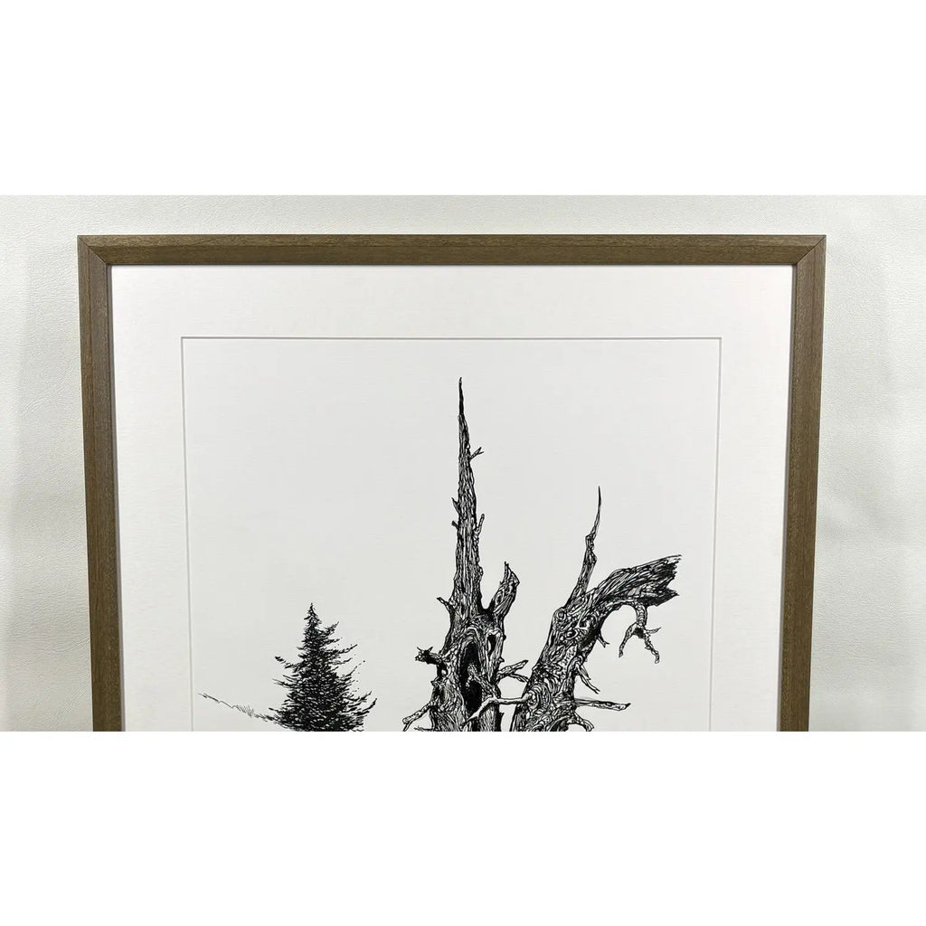 1980s Steve LeBailly Signed Pen &amp; Ink Drawing "Burma Road Juniper" Mackay, Idaho
