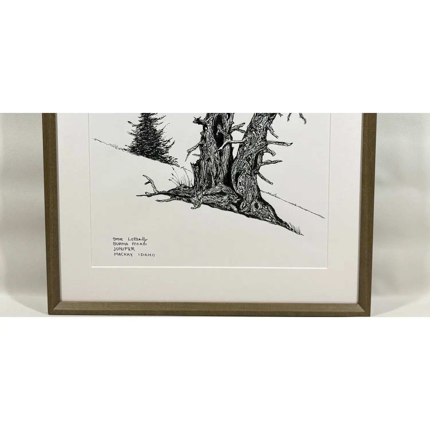1980s Steve LeBailly Signed Pen &amp; Ink Drawing "Burma Road Juniper" Mackay, Idaho