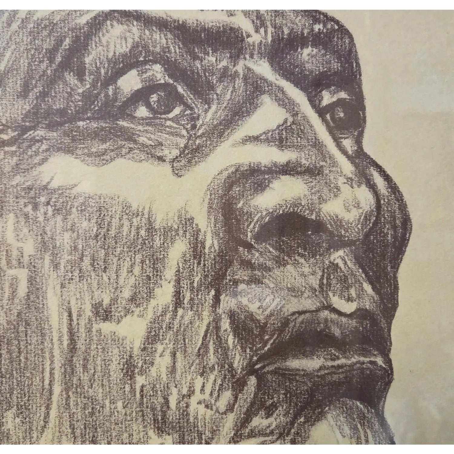 1980s Steve LeBailly Signed Chief Sealth Limited Edition Print #25/2000