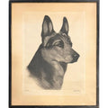 Limited Edition Bert Cobb Signed Drypoint Etching German Shepherd Luchs 33 Of 75