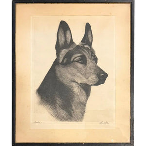 Limited Edition Bert Cobb Signed Drypoint Etching German Shepherd Luchs 33 Of 75