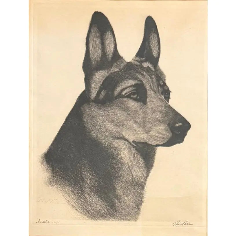 Limited Edition Bert Cobb Signed Drypoint Etching German Shepherd Luchs 33 Of 75