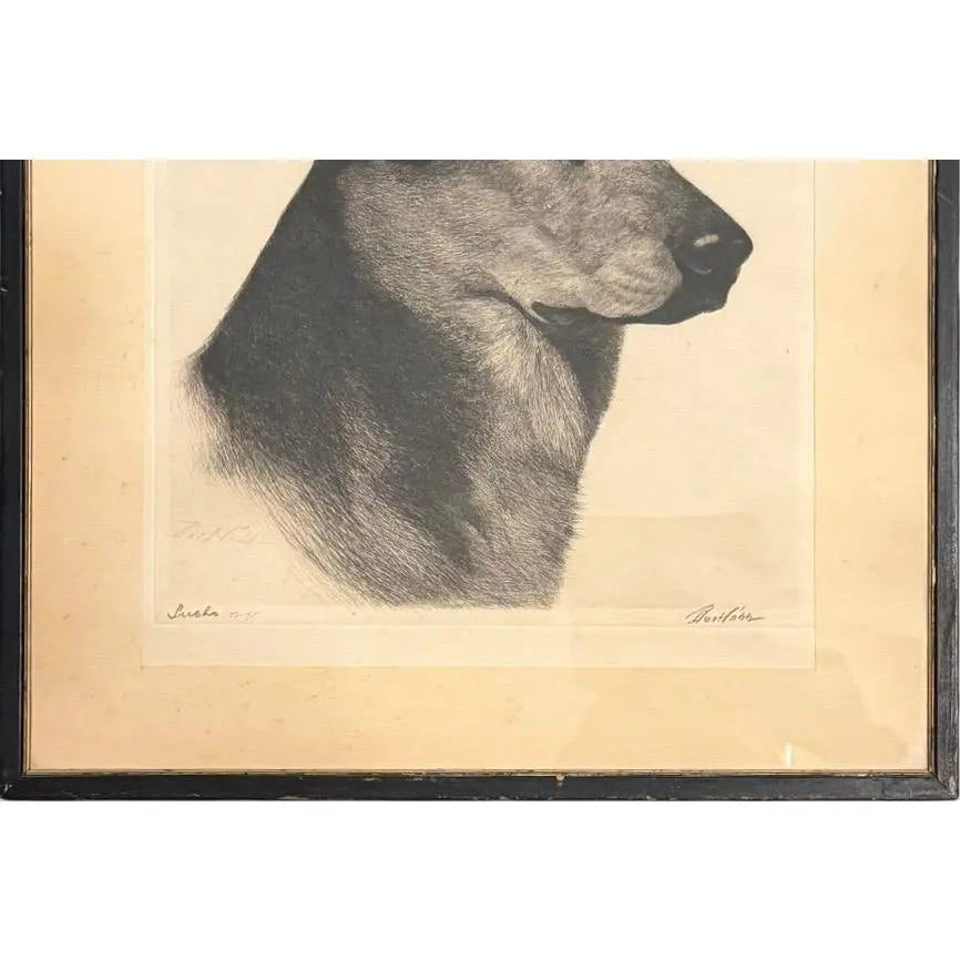Limited Edition Bert Cobb Signed Drypoint Etching German Shepherd Luchs 33 Of 75