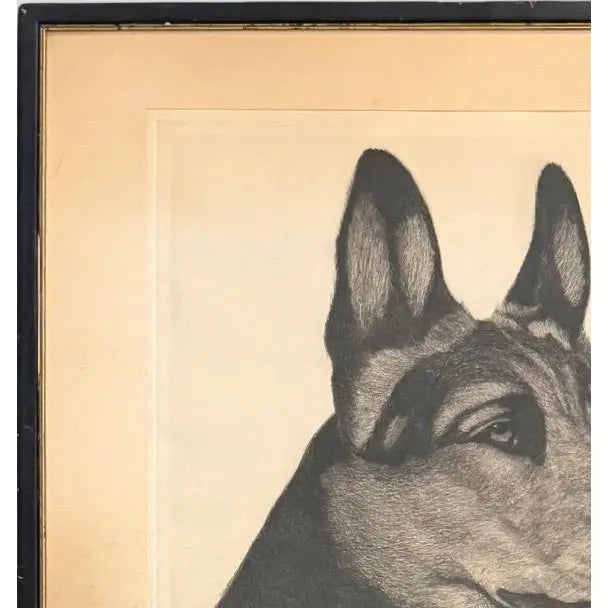 Limited Edition Bert Cobb Signed Drypoint Etching German Shepherd Luchs 33 Of 75