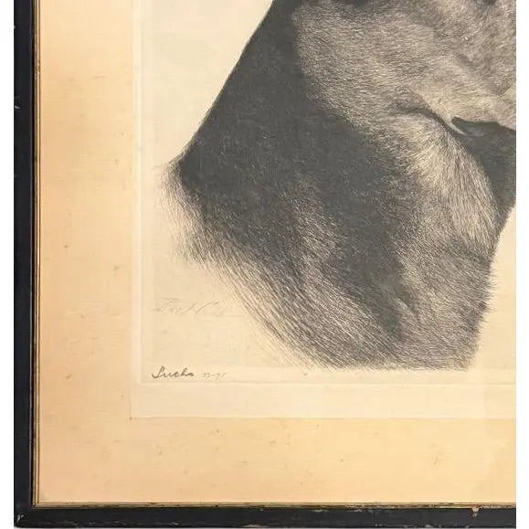 Limited Edition Bert Cobb Signed Drypoint Etching German Shepherd Luchs 33 Of 75