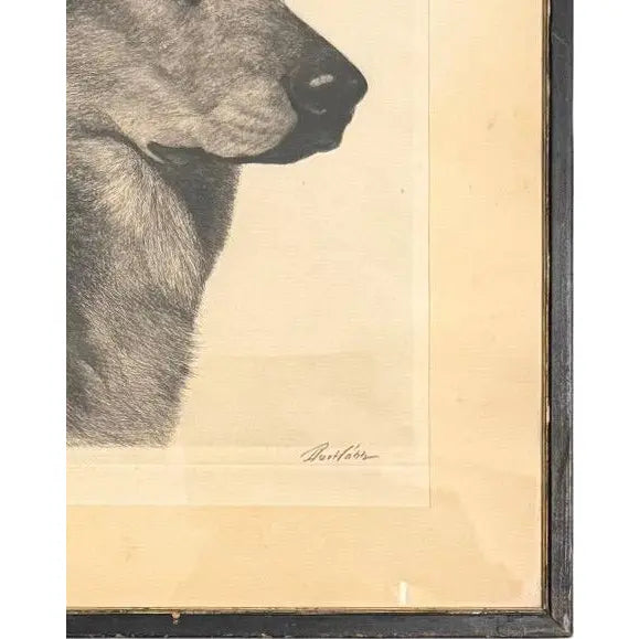 Limited Edition Bert Cobb Signed Drypoint Etching German Shepherd Luchs 33 Of 75