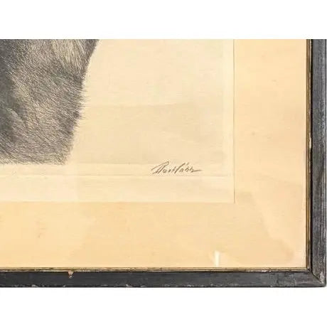 Limited Edition Bert Cobb Signed Drypoint Etching German Shepherd Luchs 33 Of 75