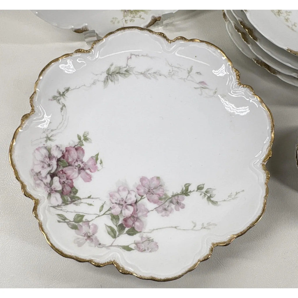 12-Piece Antique Haviland & Elite Works Limoges Mixed Floral Collection