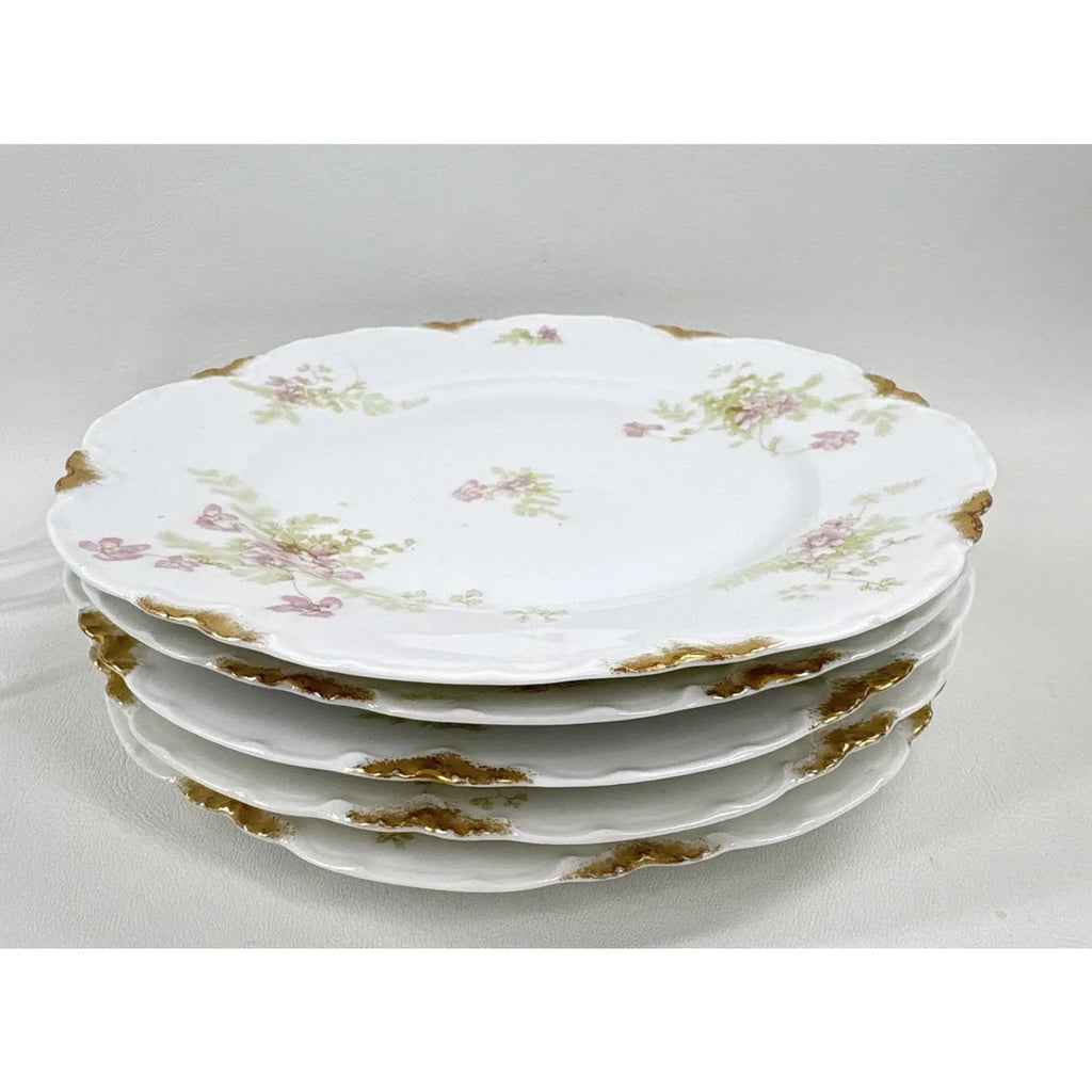 12-Piece Antique Haviland & Elite Works Limoges Mixed Floral Collection