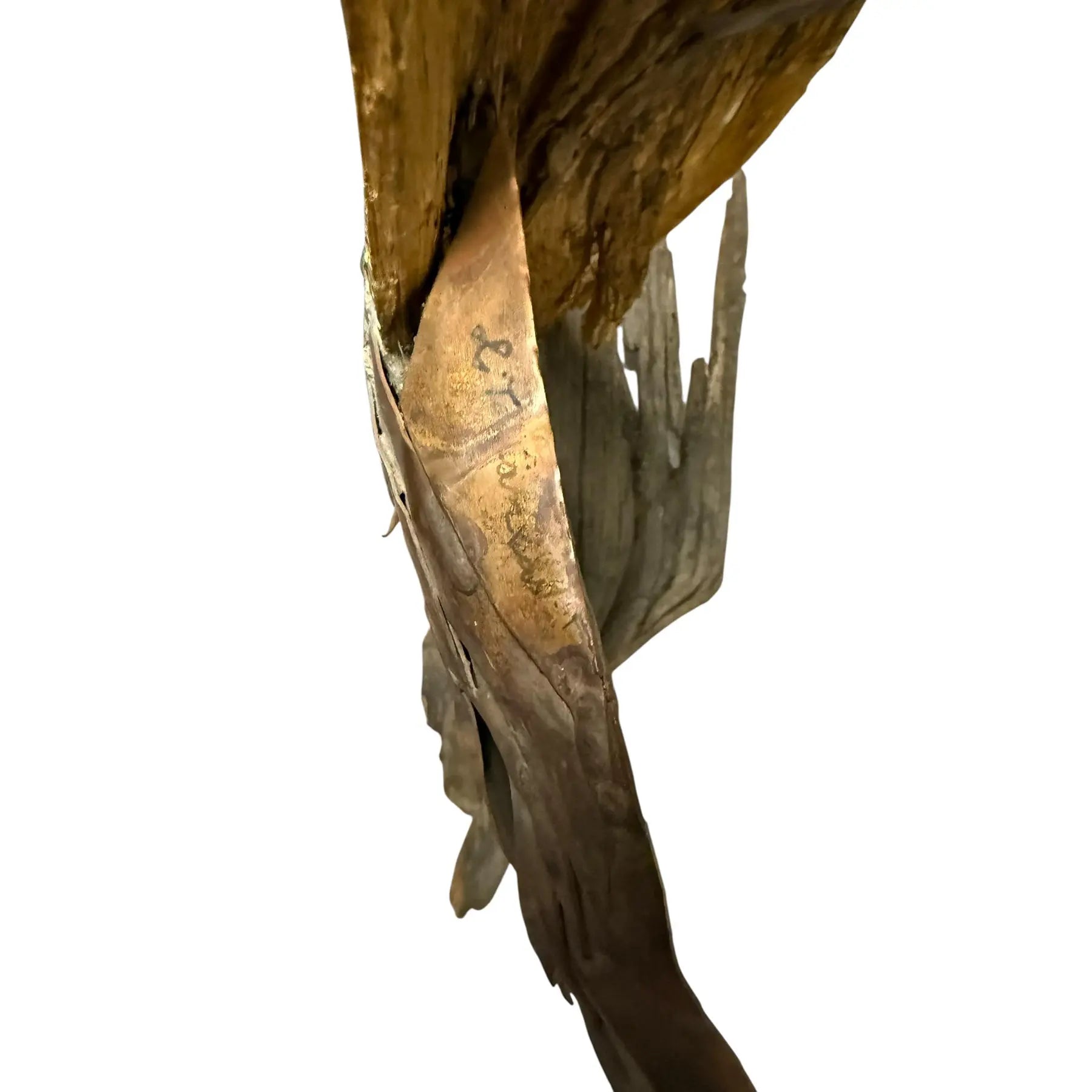 Monumental Lubomir Tomaszewski Signed Wood And Copper Bird Sculpture Seven Feet Tall